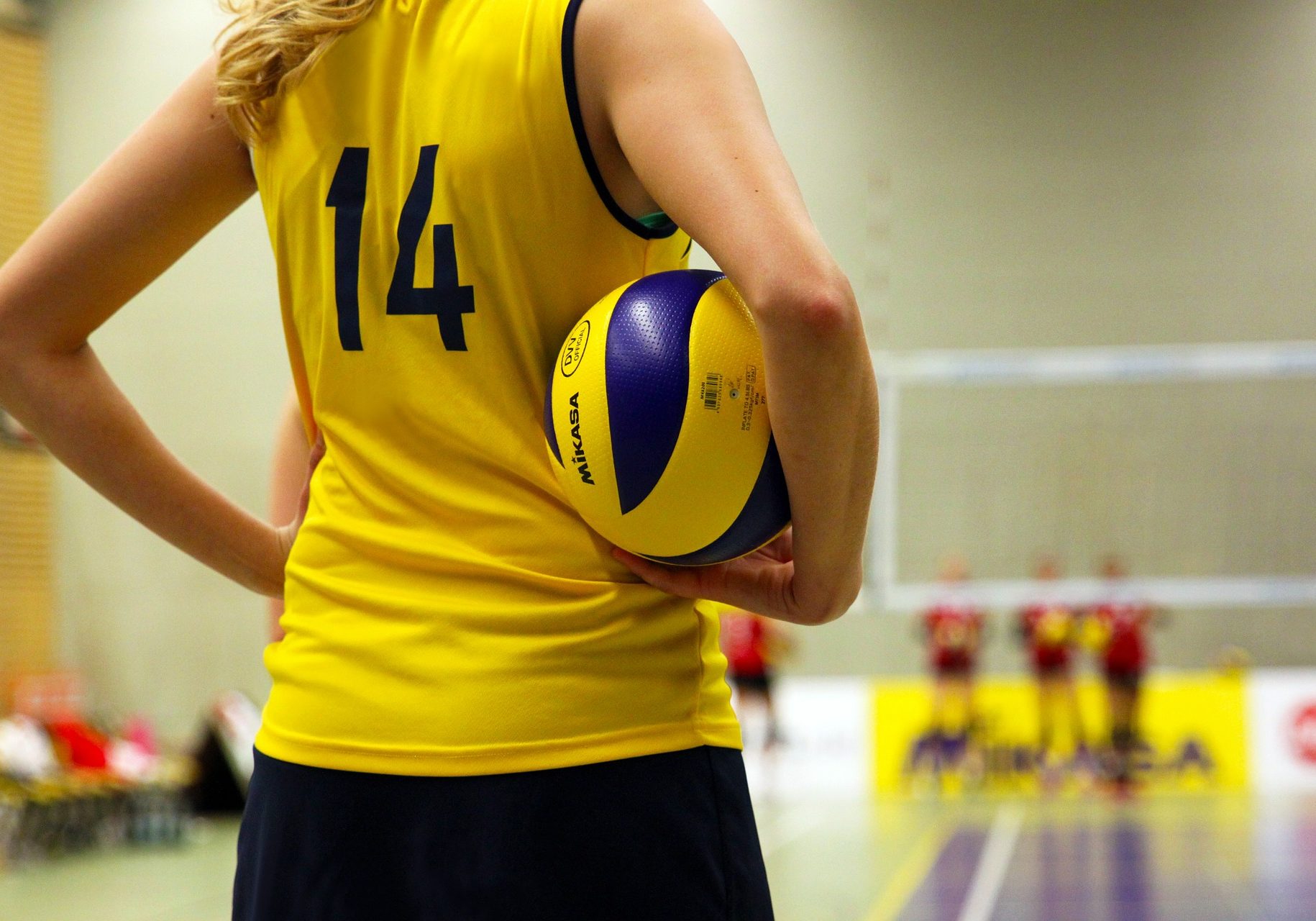 volleyball-g32d6e6837_1920 volleyball-g32d6e6837_1920
